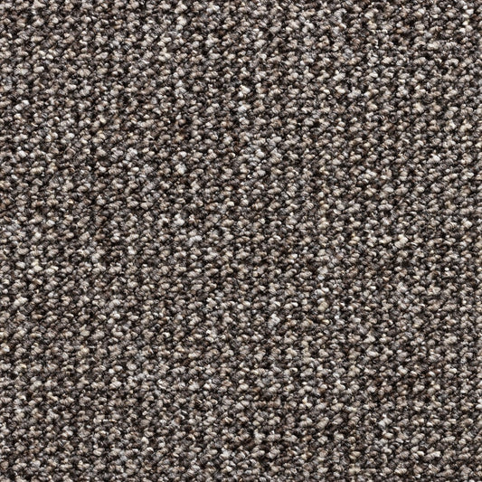 Titan Carpet SB Taupe 1425 Carpet