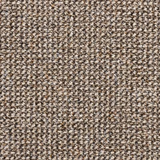 Titan Carpet SB Cognac 1418 Carpet