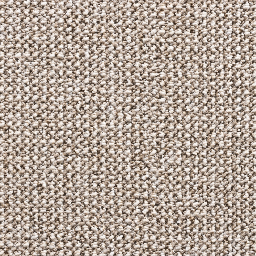 Titan Carpet SB Berber 1413 Carpet