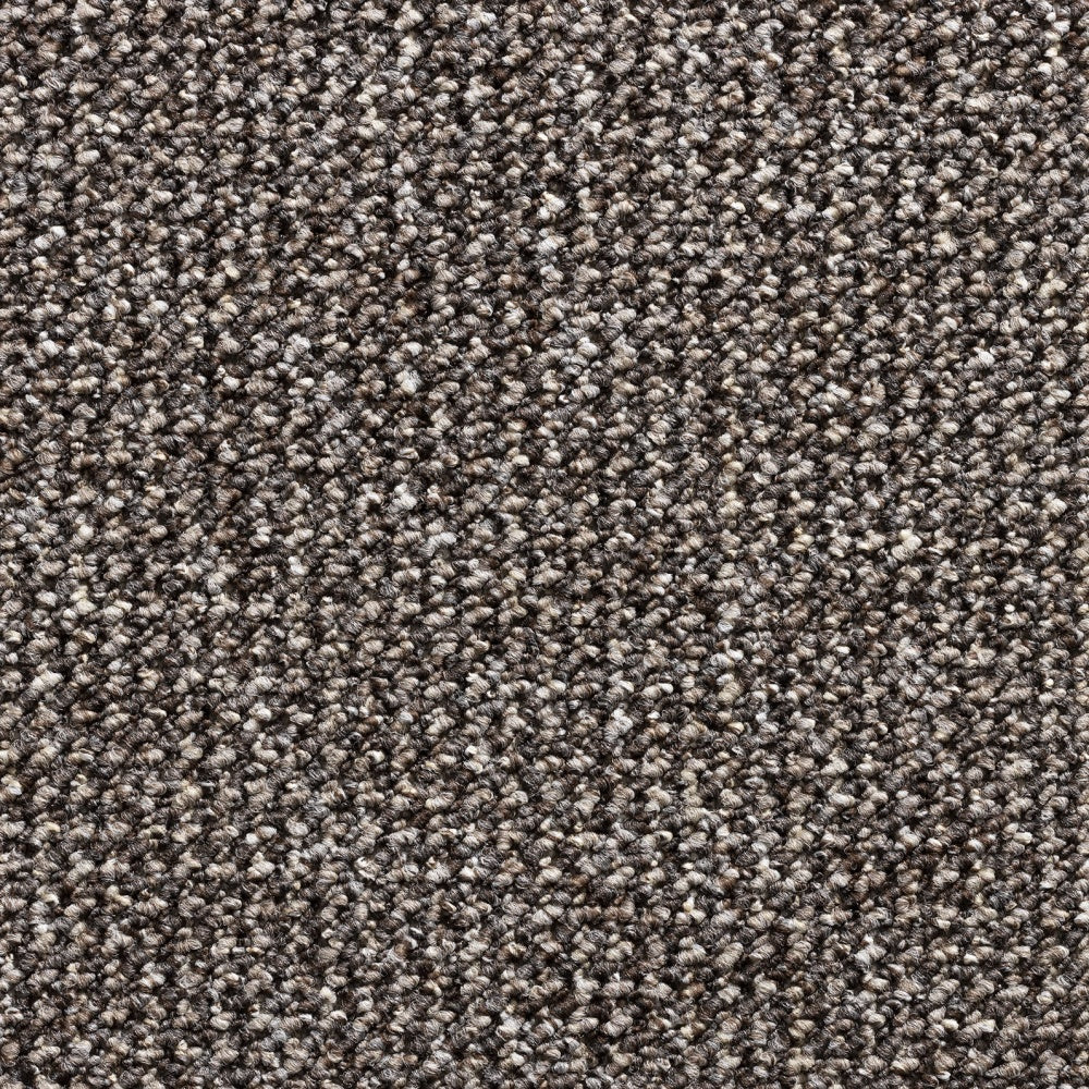 Titan Carpet Fb Taupe 1425 Carpet
