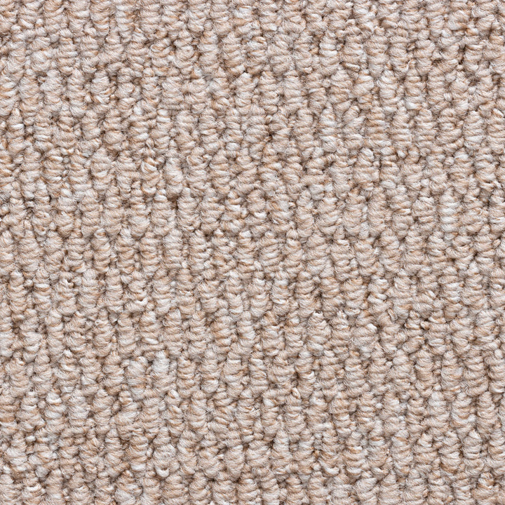 Brasil Dark Beige 5214 Carpet