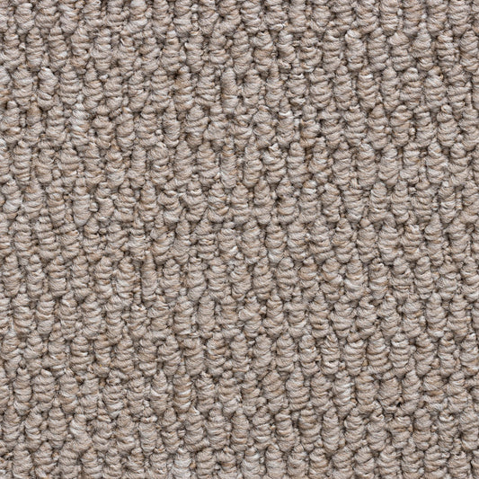 Brasil Taupe 5216 Carpet
