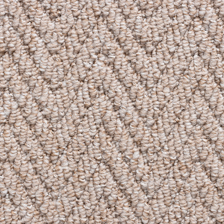 Havana Dark Beige 5114 Carpet