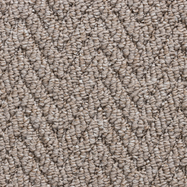 Havana Taupe 5116 Carpet