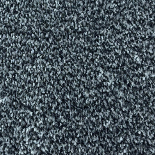 Adoration Saxony SB Gunmetal Carpet