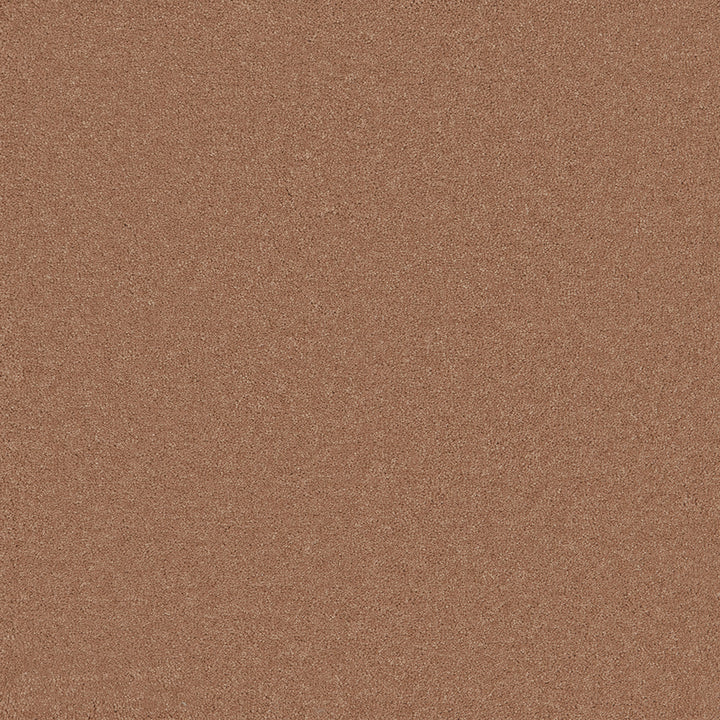 Astoria Apricot Carpet