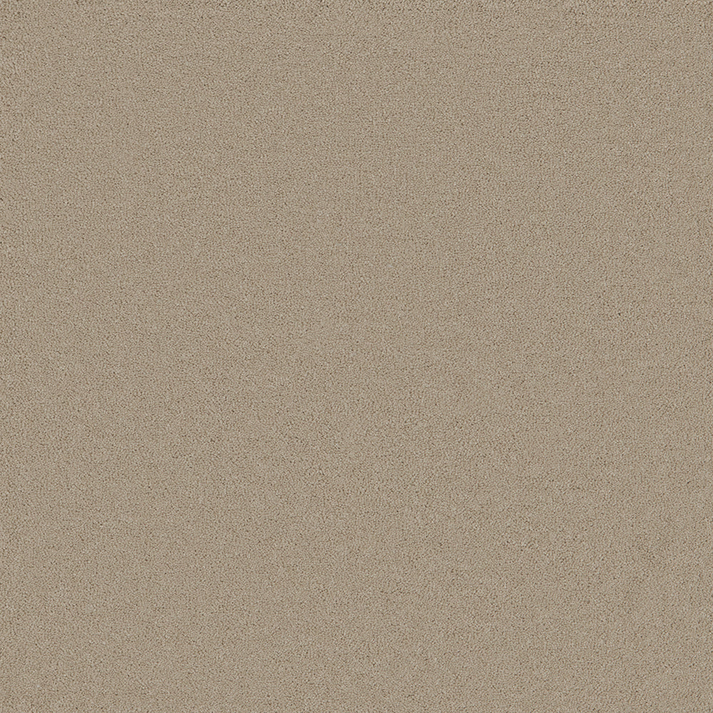 Astoria Beige Carpet