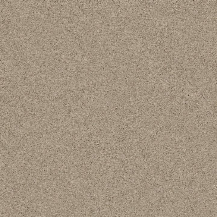 Astoria Beige Carpet