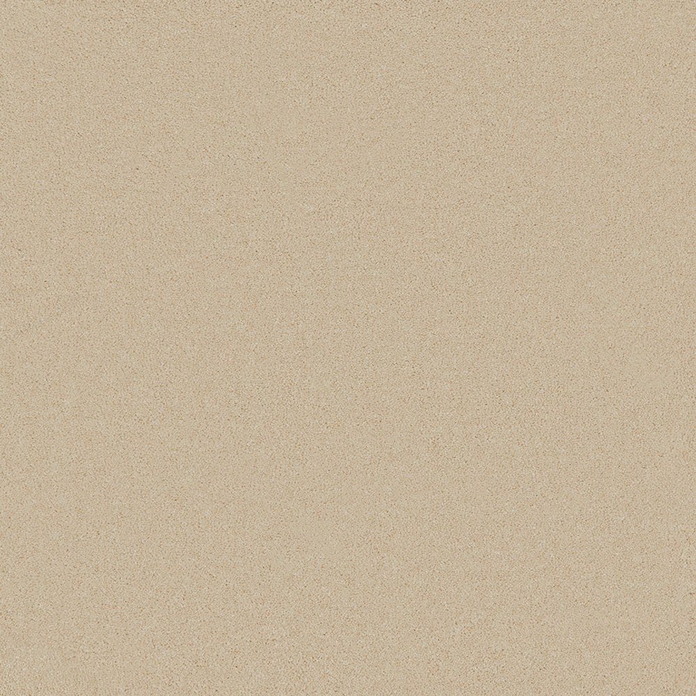 Astoria Cream Carpet
