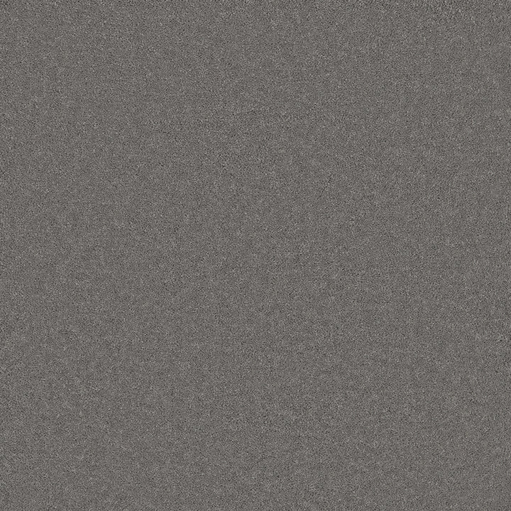Astoria Grey Carpet