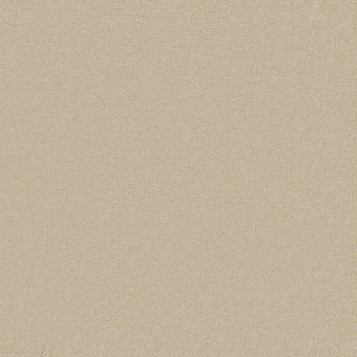 Astoria Ivory Carpet