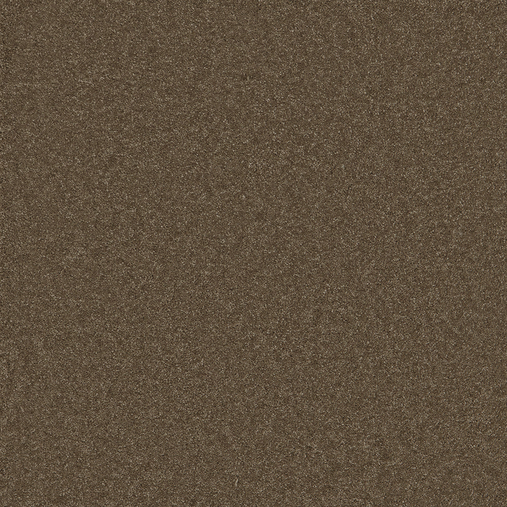 Astoria Mink Carpet