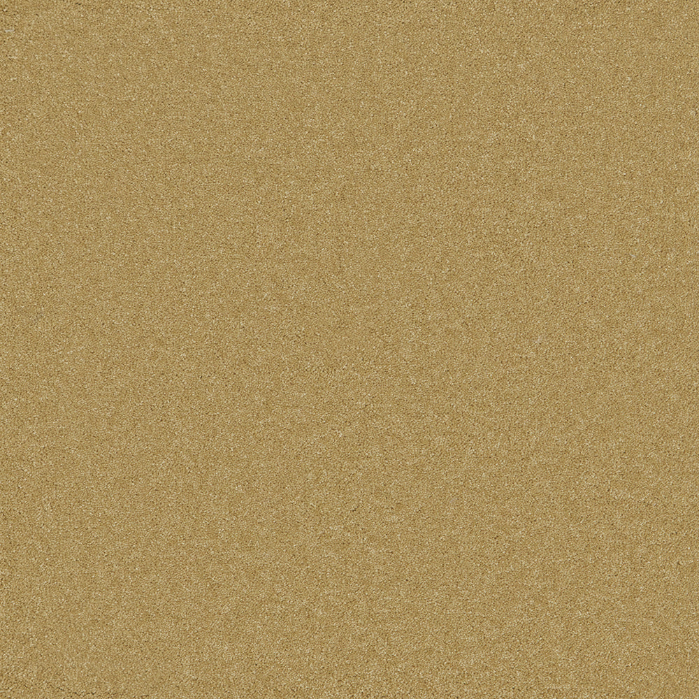Astoria Old Gold Carpet