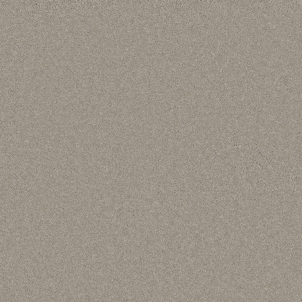 Astoria Platinum Carpet