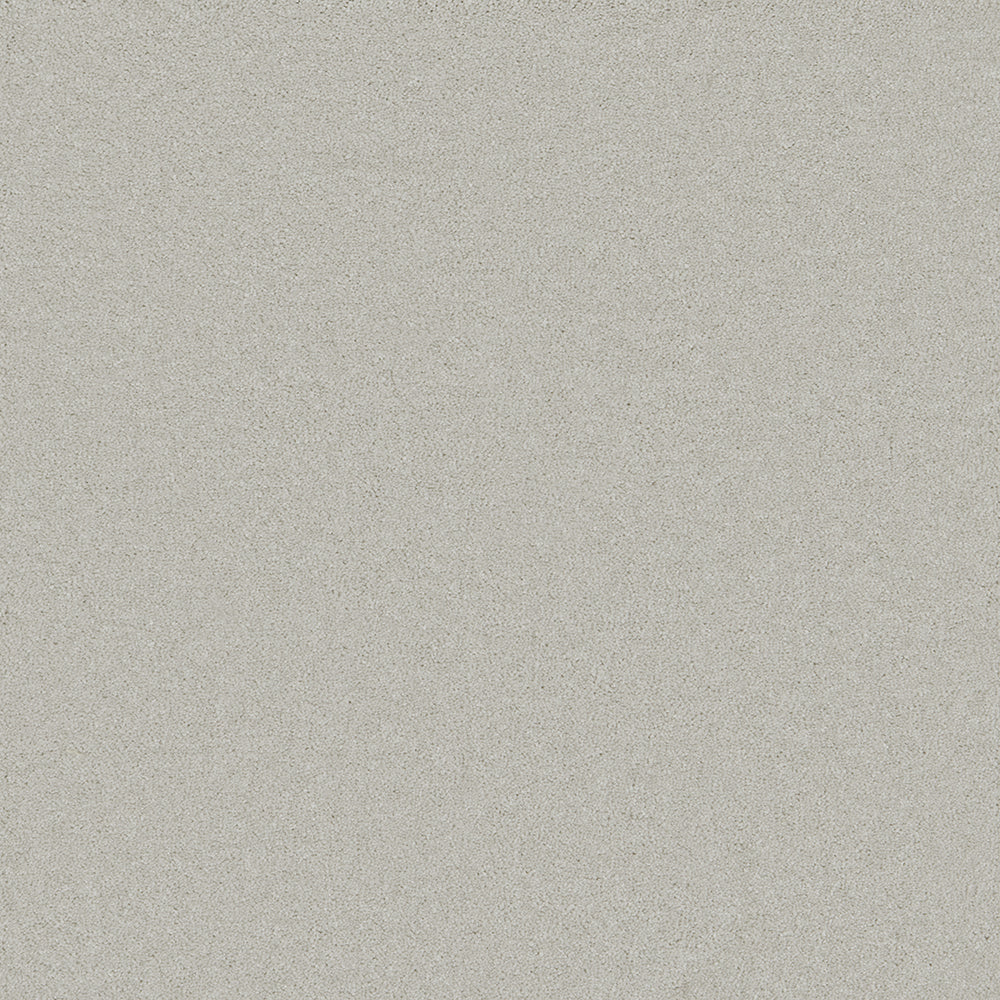 Astoria Silver Carpet
