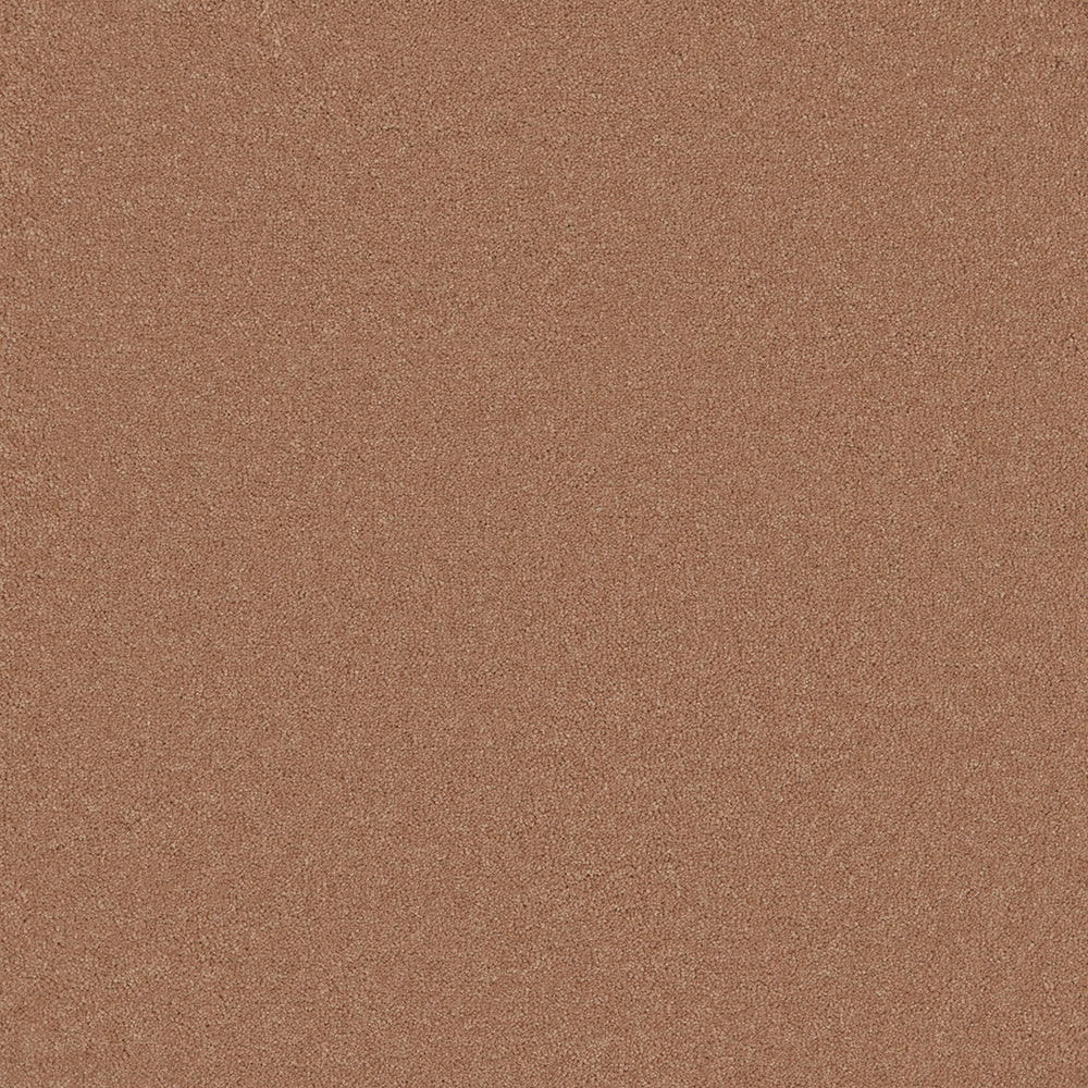 Langham Apricot Carpet