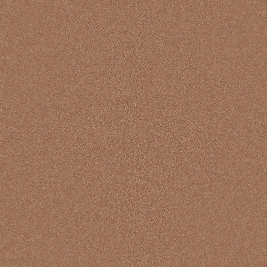 Langham Apricot Carpet