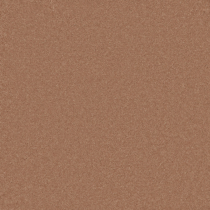 Langham Apricot Carpet