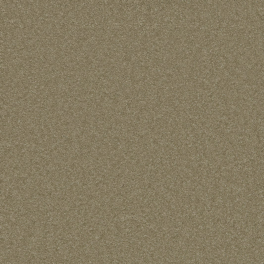 Langham Lichen Carpet