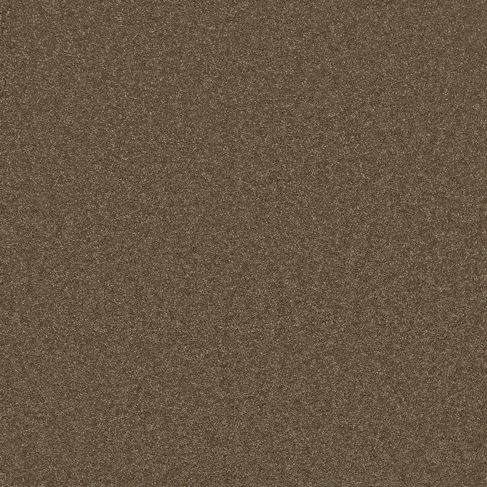 Langham Mink Carpet
