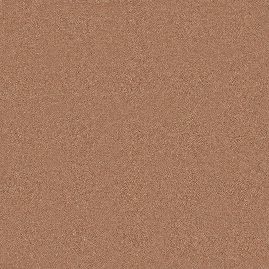 Waldorf Apricot Carpet