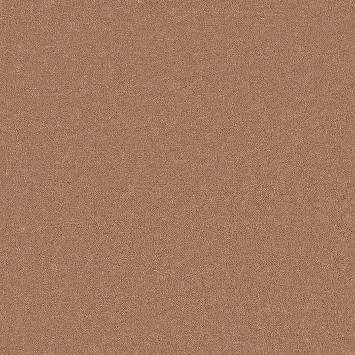 Waldorf Apricot Carpet