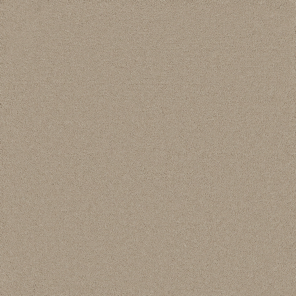 Waldorf Beige Carpet
