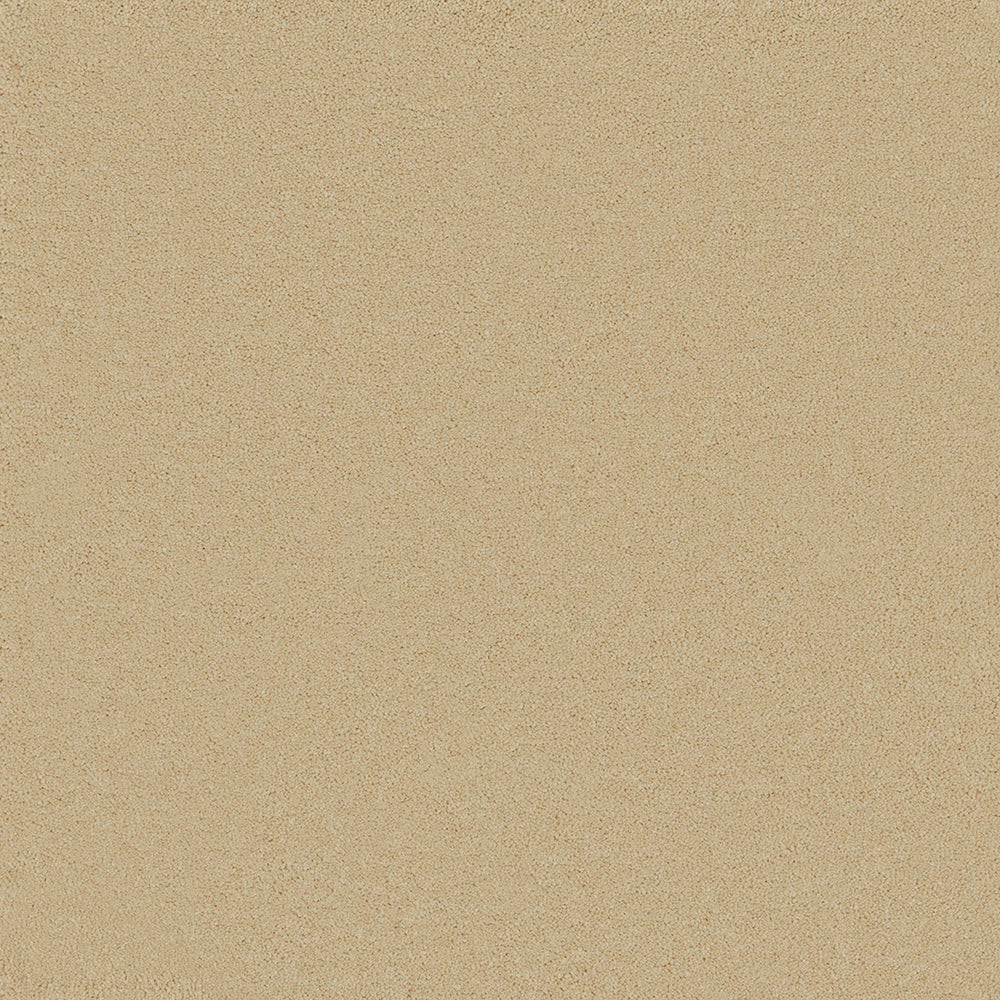 Waldorf Champagne Carpet
