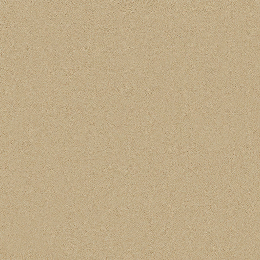 Waldorf Champagne Carpet