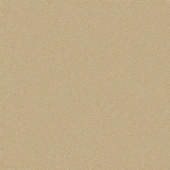 Waldorf Champagne Carpet