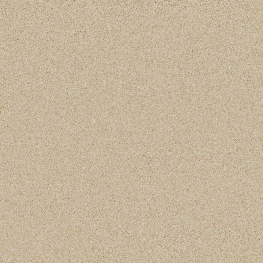 Waldorf Cream Carpet