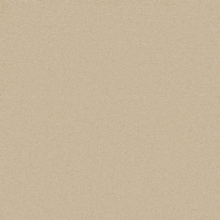 Waldorf Cream Carpet