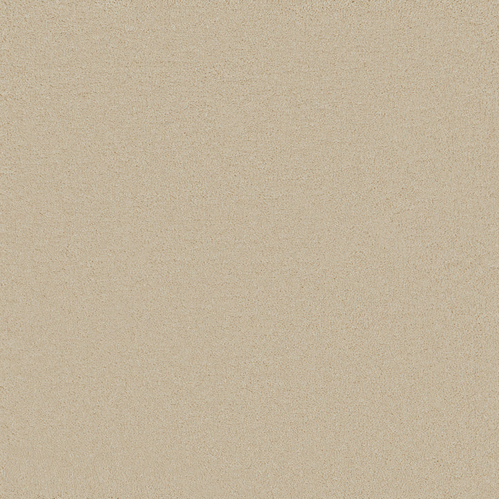 Waldorf Ivory Carpet