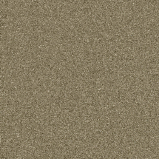Waldorf Lichen Carpet