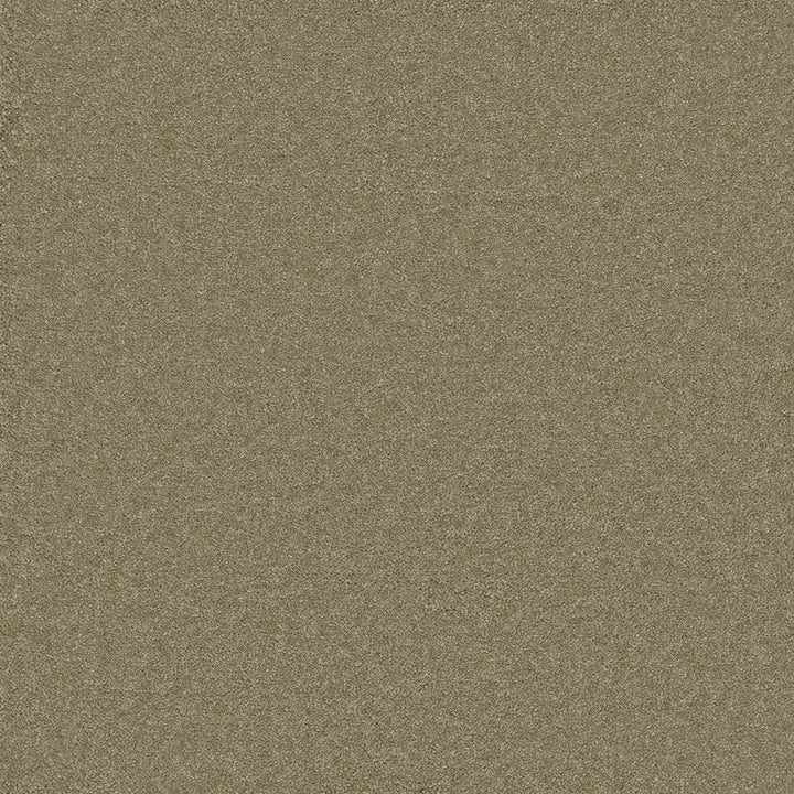 Waldorf Lichen Carpet