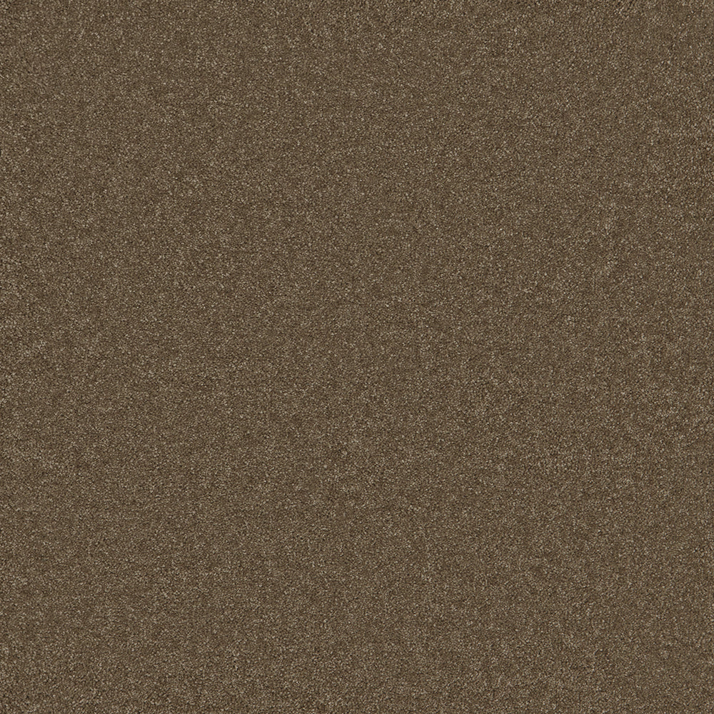 Waldorf Mink Carpet