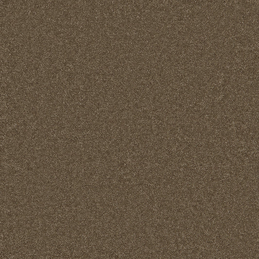 Waldorf Mink Carpet
