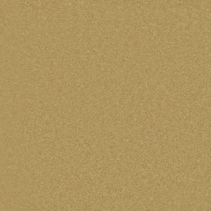 Waldorf Old Gold Carpet