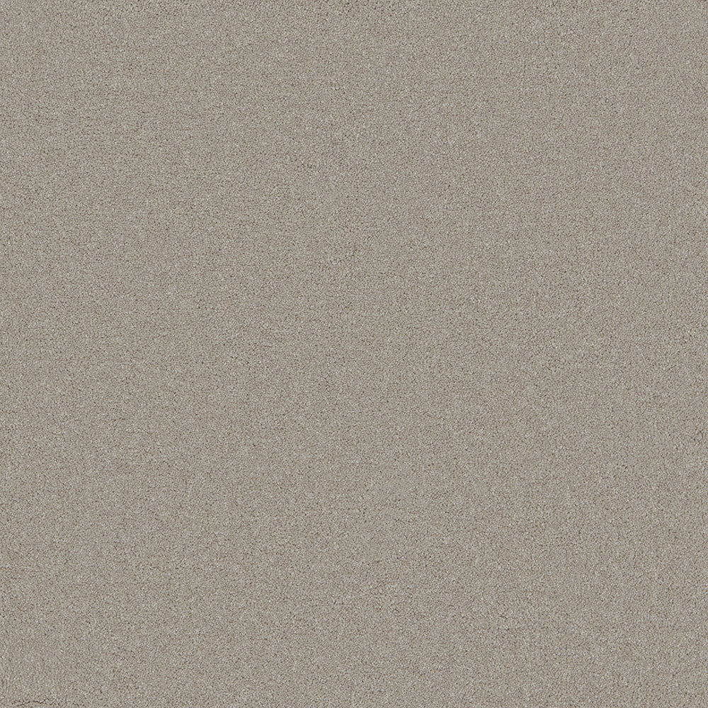 Waldorf Platinum Carpet