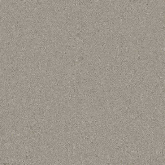 Waldorf Platinum Carpet