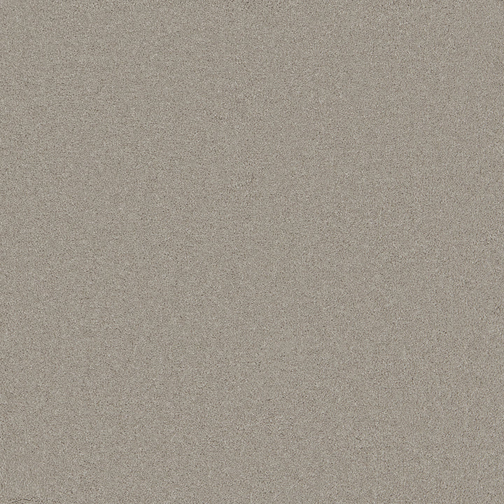 Waldorf Platinum Carpet