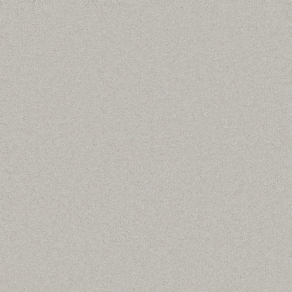 Waldorf Silver Carpet