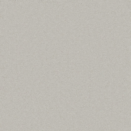 Waldorf Silver Carpet