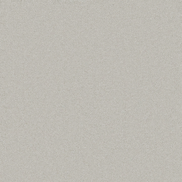 Waldorf Silver Carpet