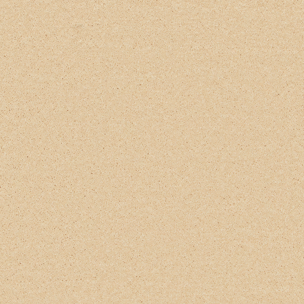Fine Touch Cream Carpet