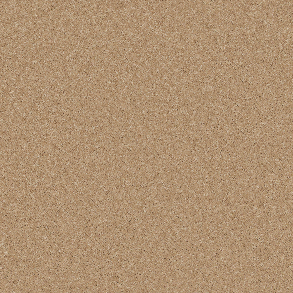 Fine Touch Caramel Carpet