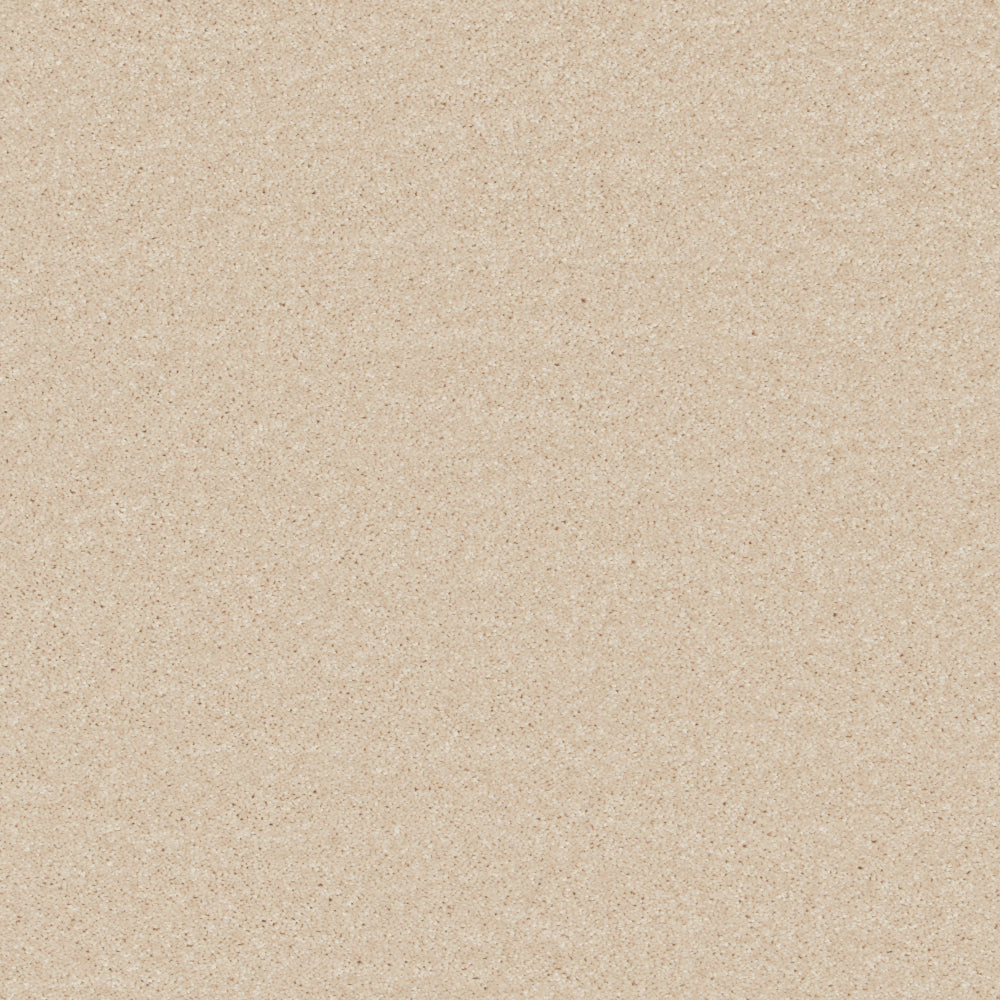 Fine Touch Beige Carpet
