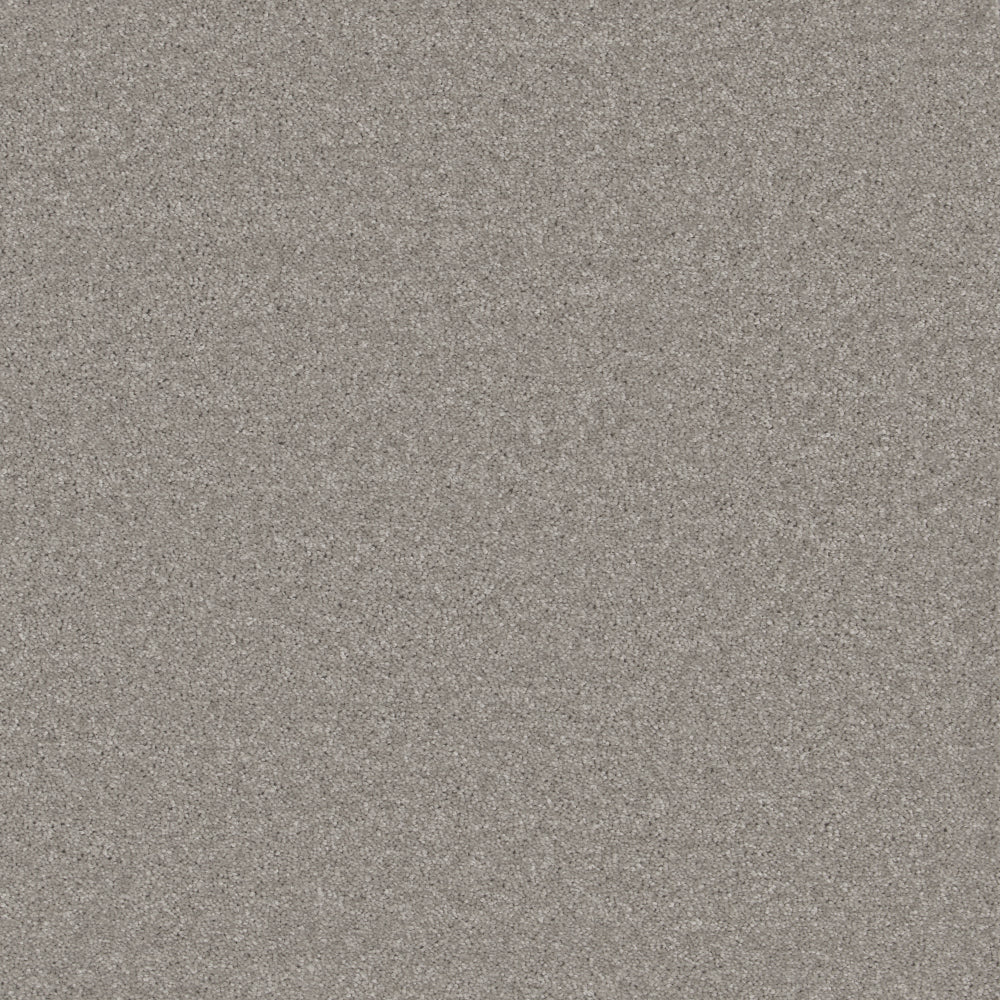 Fine Touch Titanium Carpet