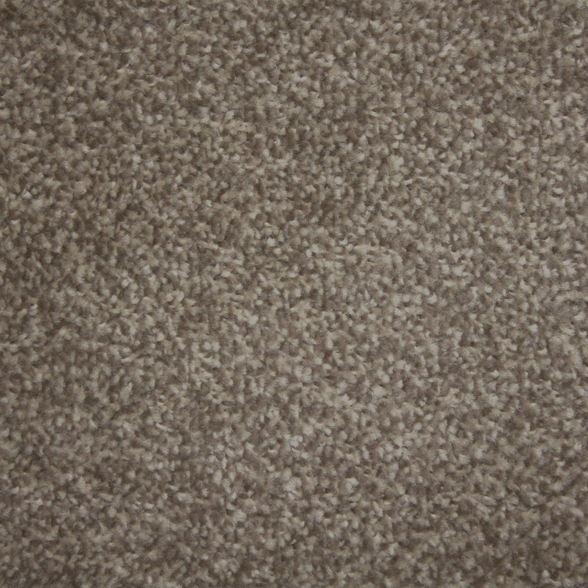 Hathaway Metro Taupe Carpet