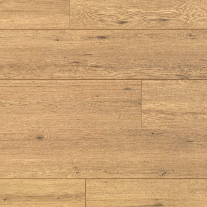 The Lakes Geneva Bleached Oak D80661 10mm Laminate Flooring